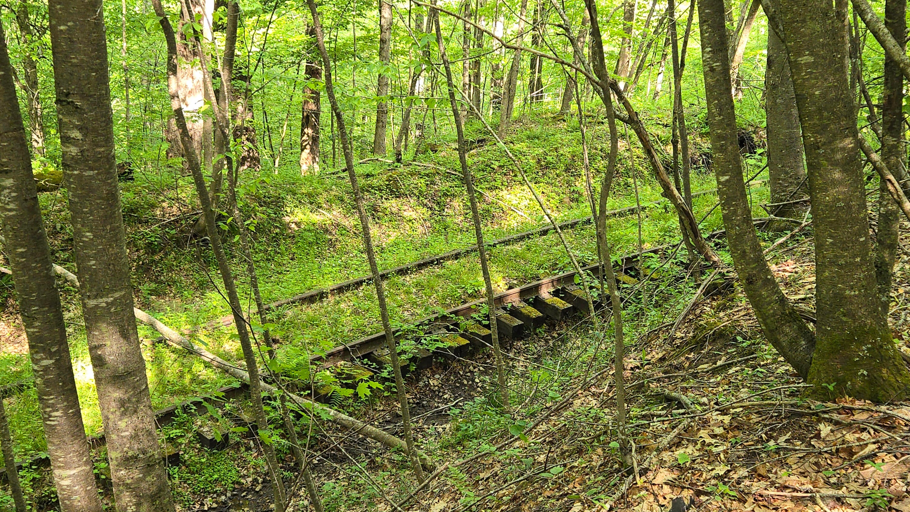 Lot 14 Roberts Ridge Valley Head, WV 26294 - Photo 9 of 12 Gallery Image 9