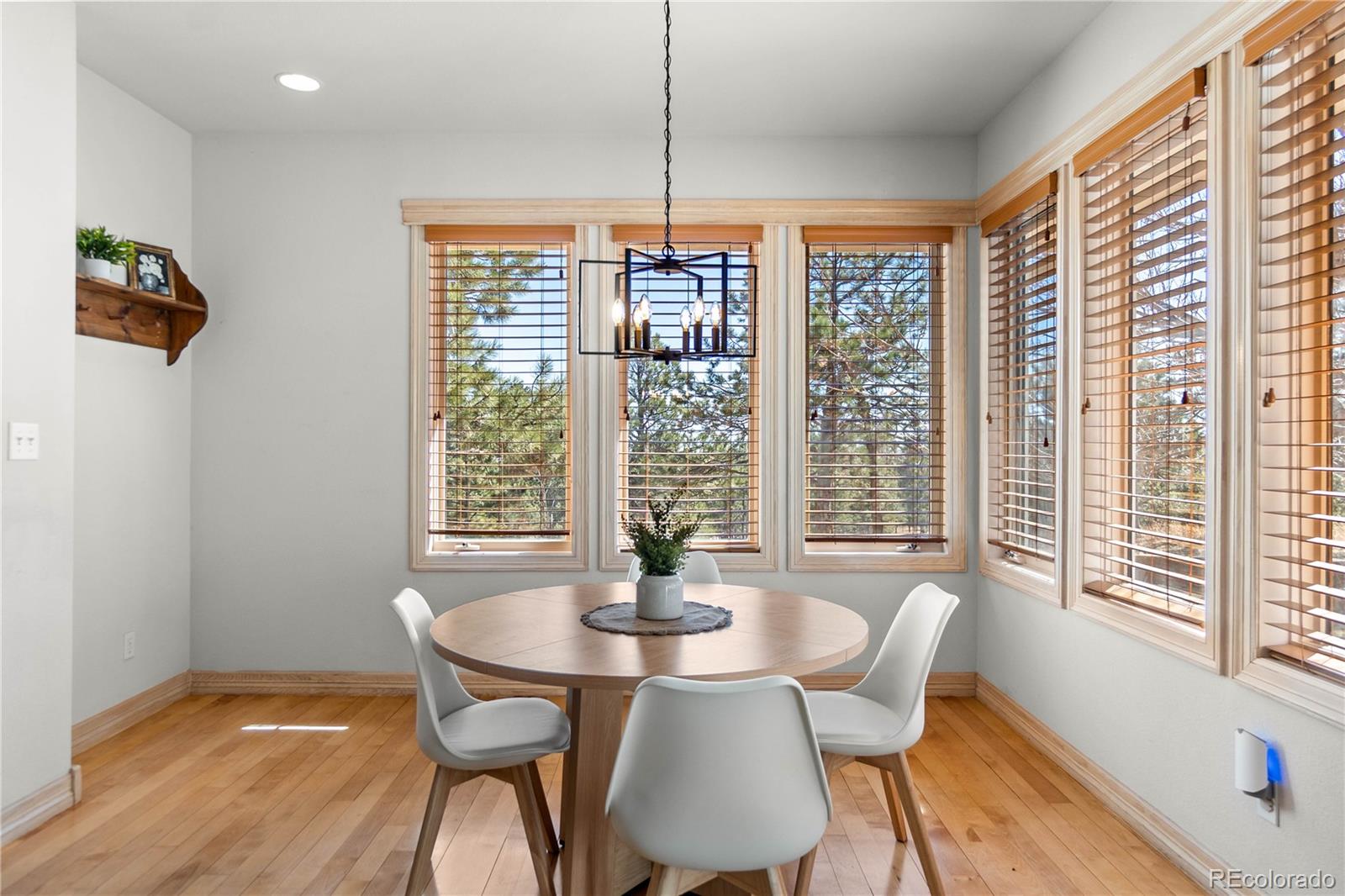 11430 Roslyn Road Elbert, CO 80106 - Photo 11 of 50