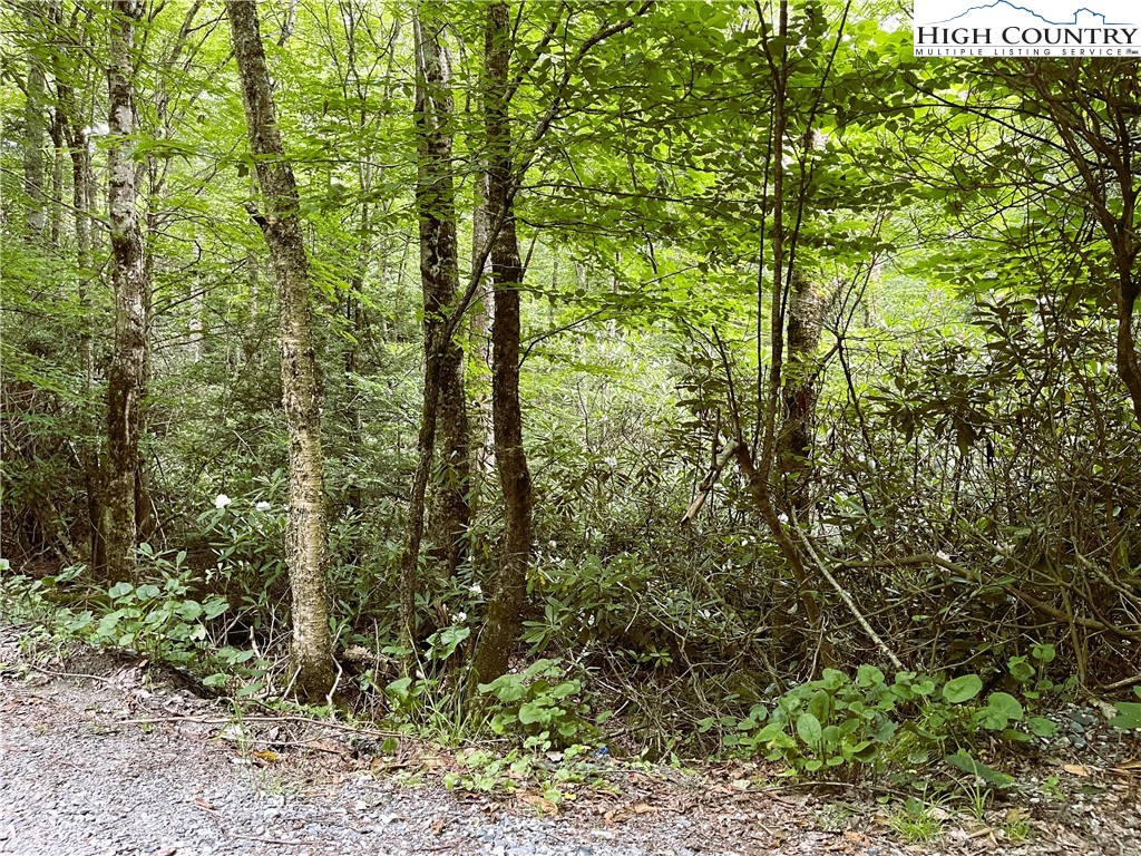 104 Willow Run Road Beech Mountain, NC 28604 - Photo 2 of 4