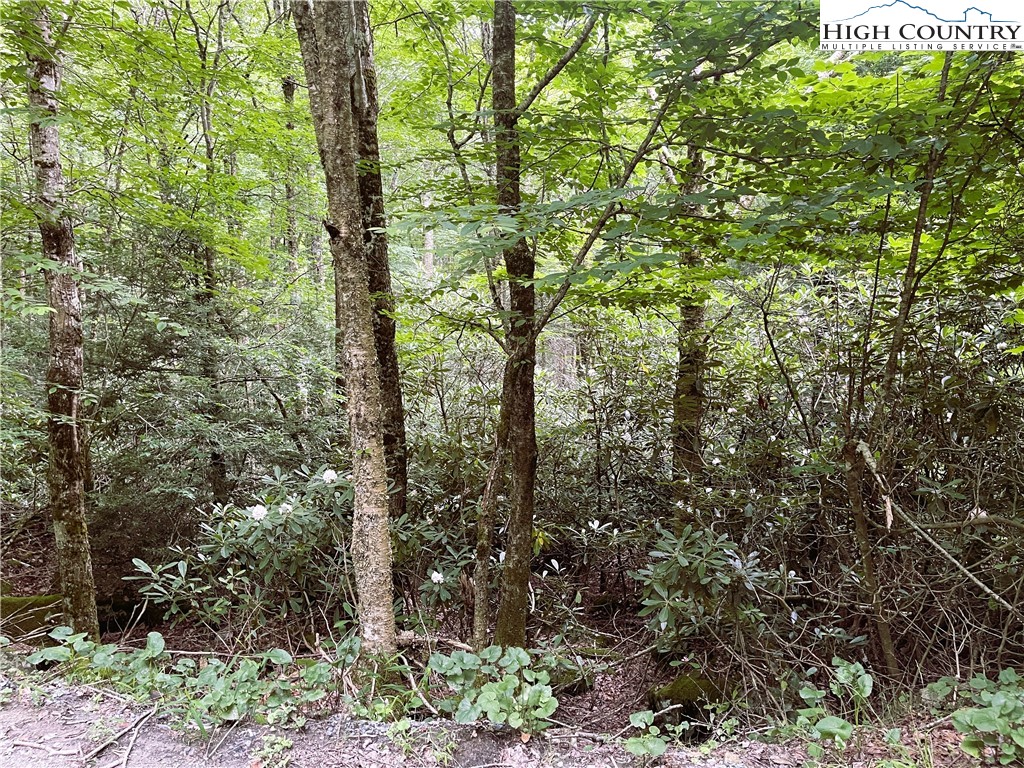 104 Willow Run Road Beech Mountain, NC 28604 - Photo 3 of 4