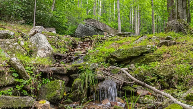 $1,225,000 | 2752 Gerton Highway, Gerton, NC 28735