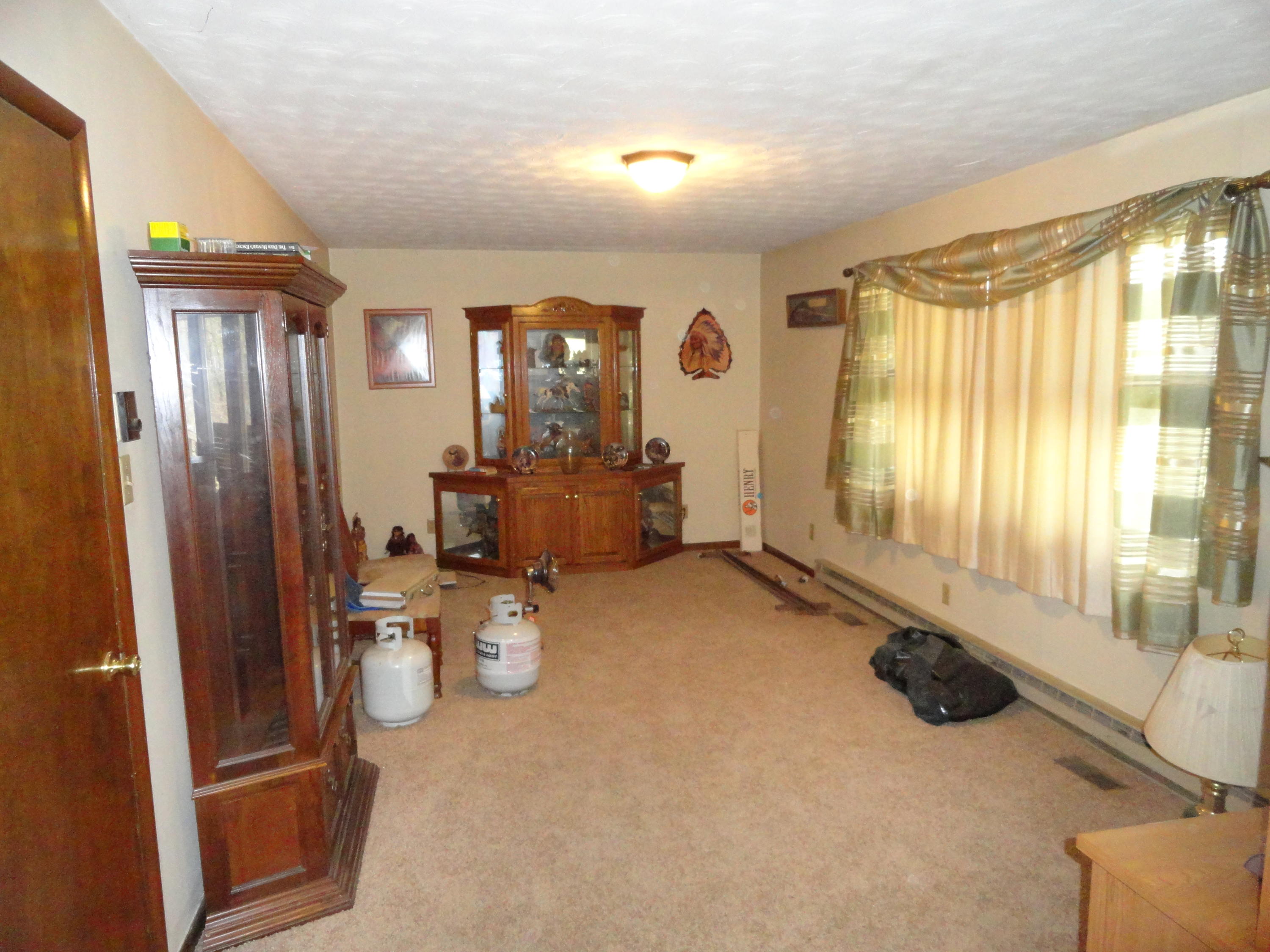 5915 Falls Road Hot Springs, VA 24445 - Photo 11 of 16 DSC01086