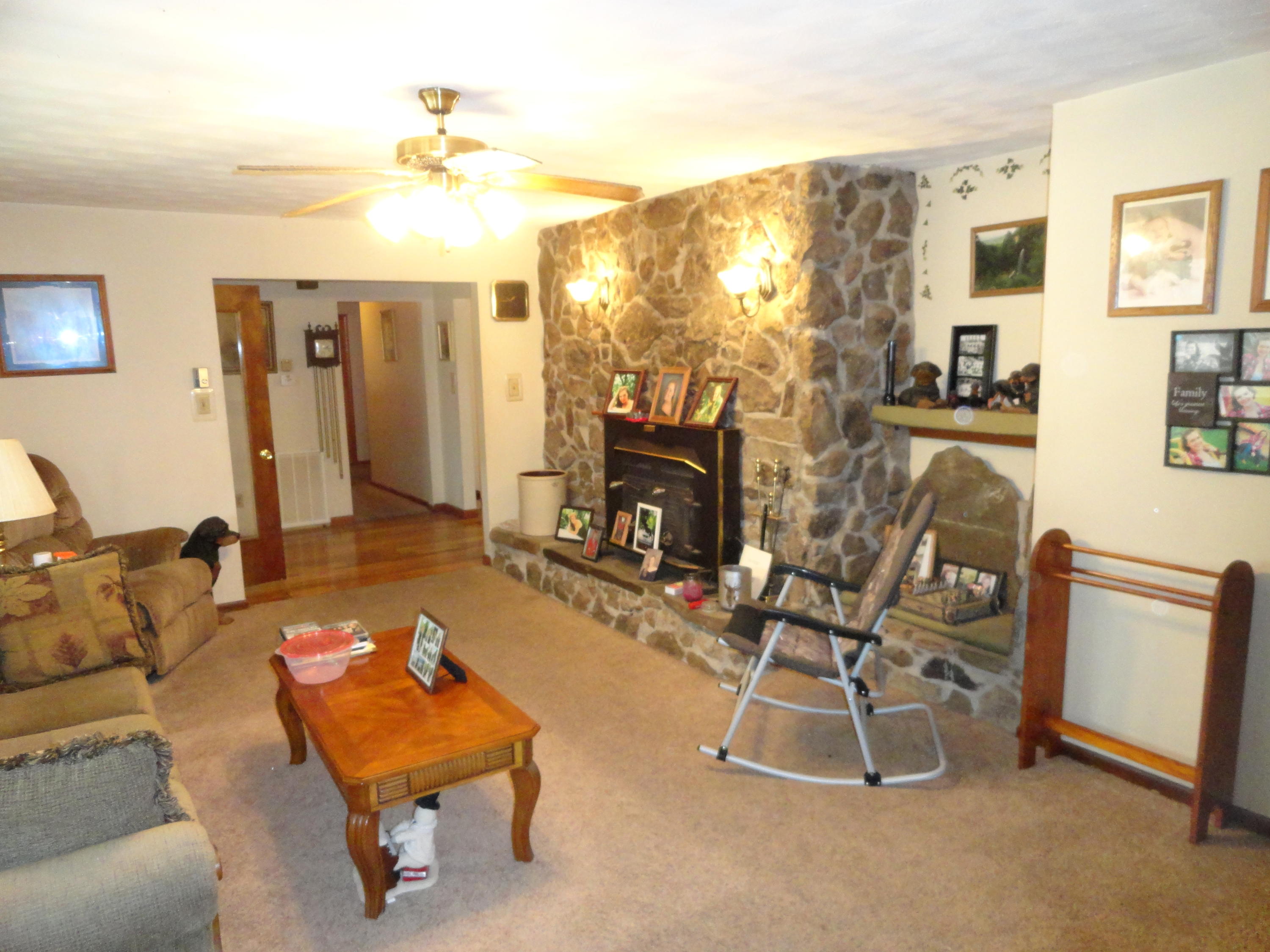 5915 Falls Road Hot Springs, VA 24445 - Photo 12 of 16 DSC01087