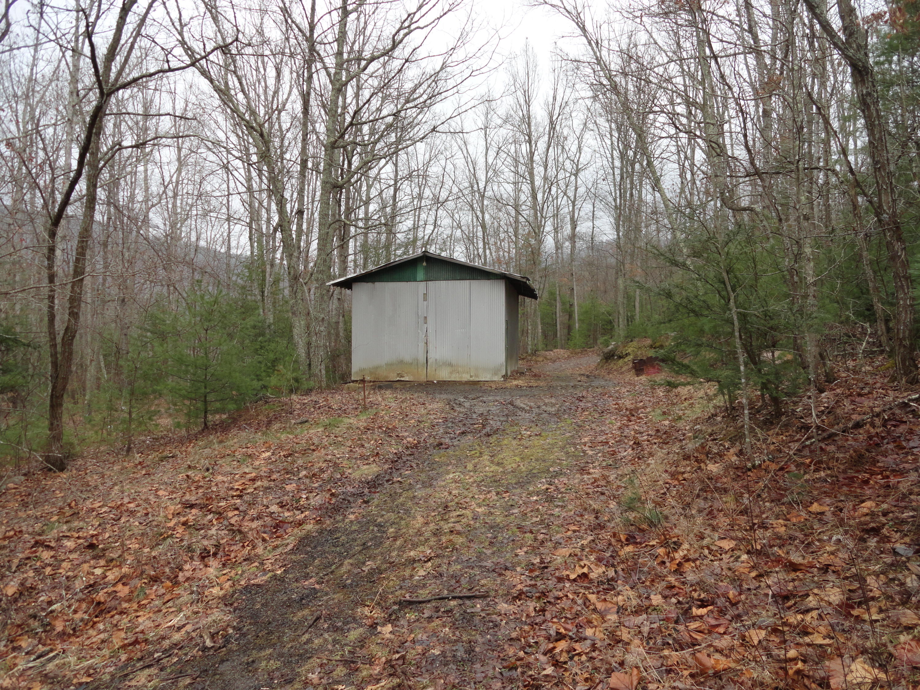 5915 Falls Road Hot Springs, VA 24445 - Photo 16 of 16 DSC01121