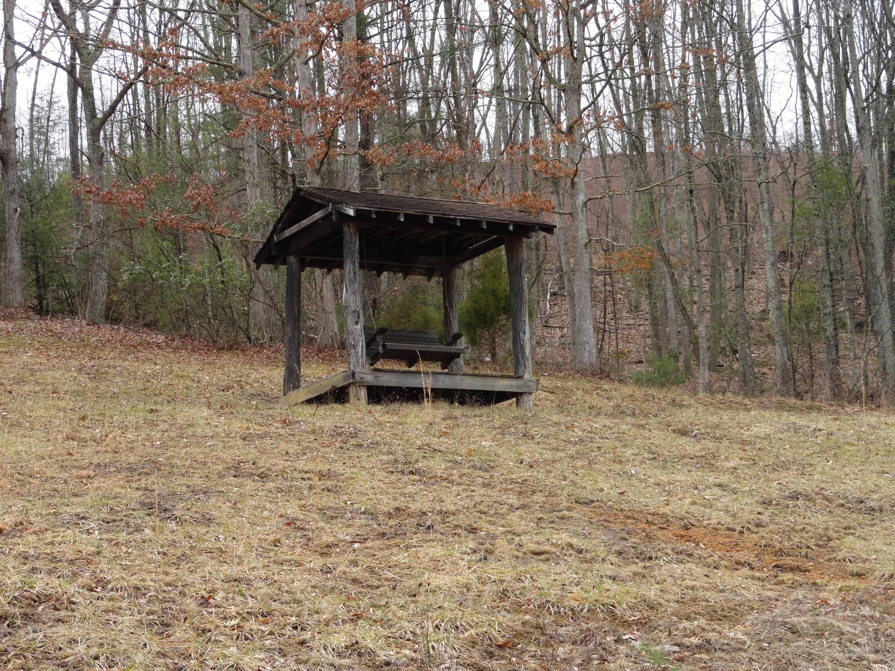 Swing in back yard