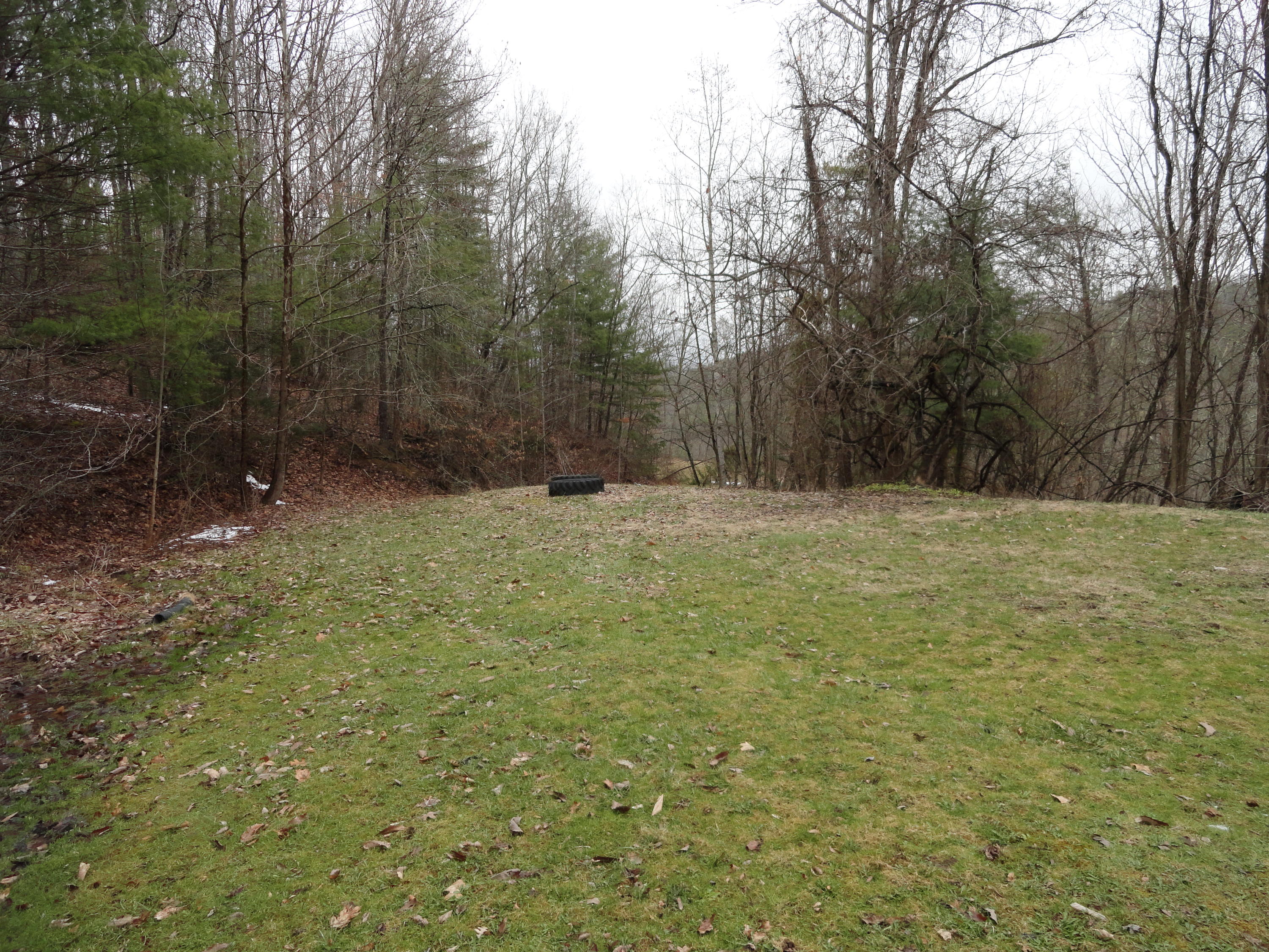 Side yard