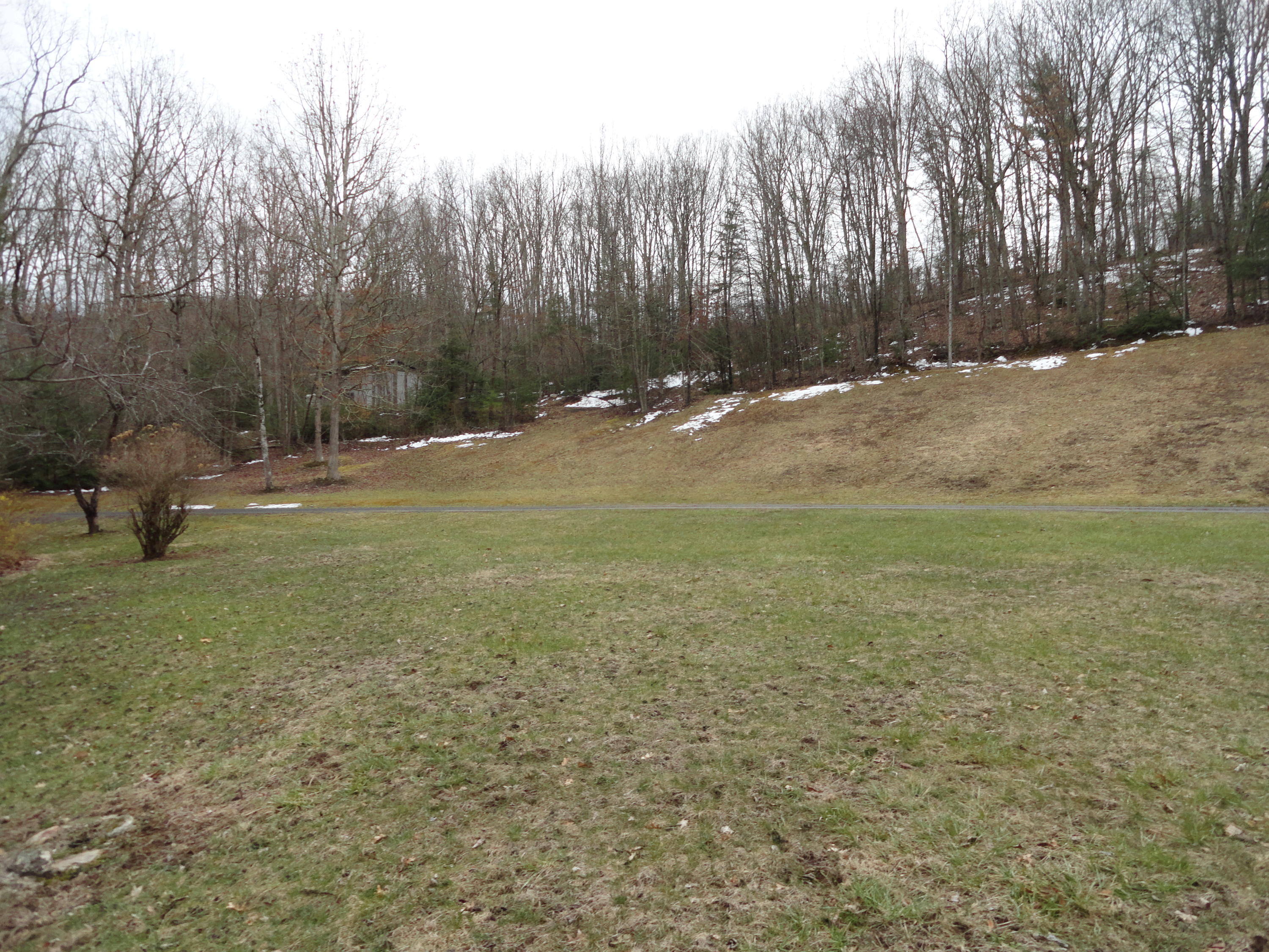 5915 Falls Road Hot Springs, VA 24445 - Photo 8 of 16 Side yard