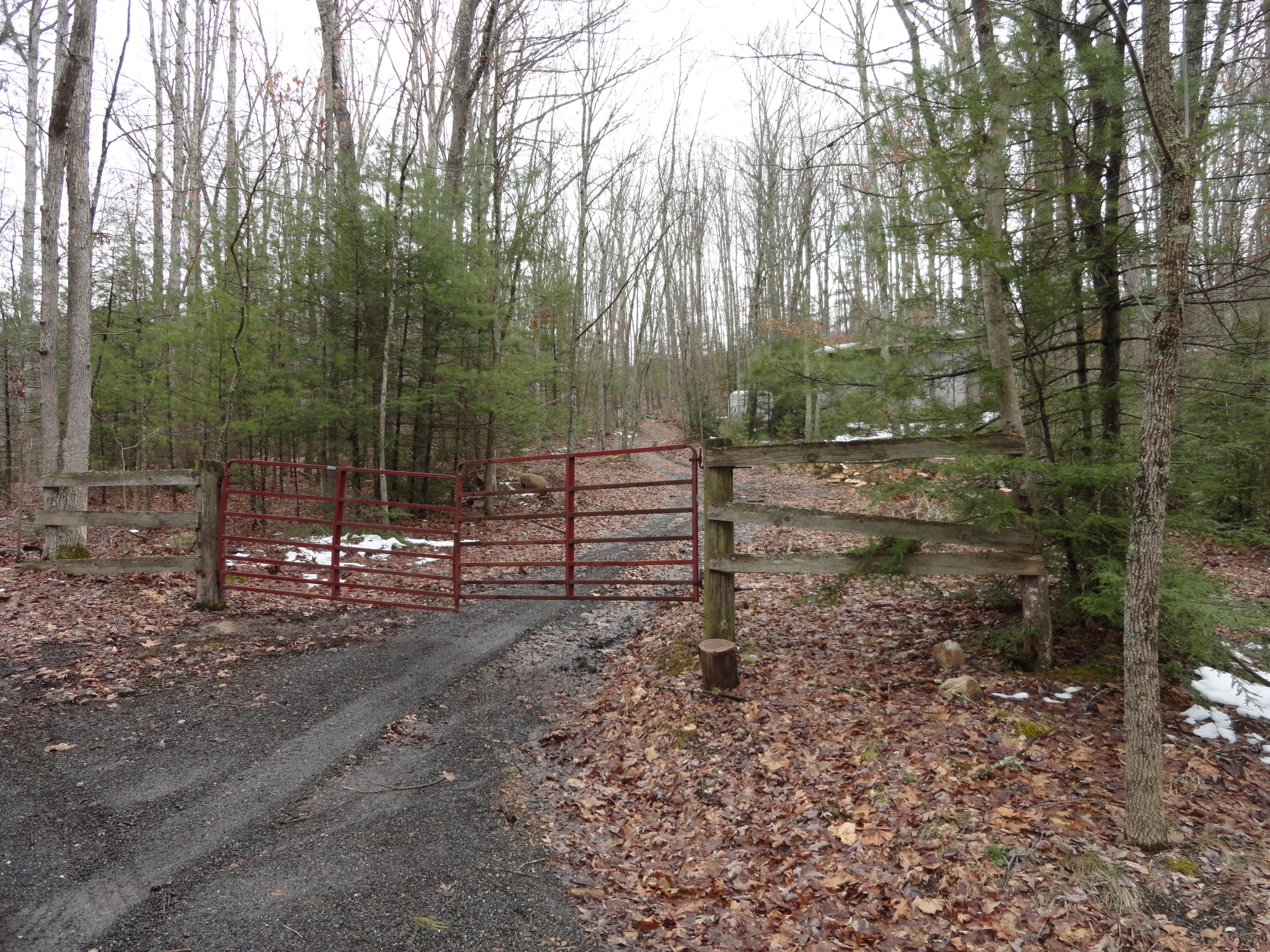 5915 Falls Road Hot Springs, VA 24445 - Photo 9 of 16 Gated road to second shed