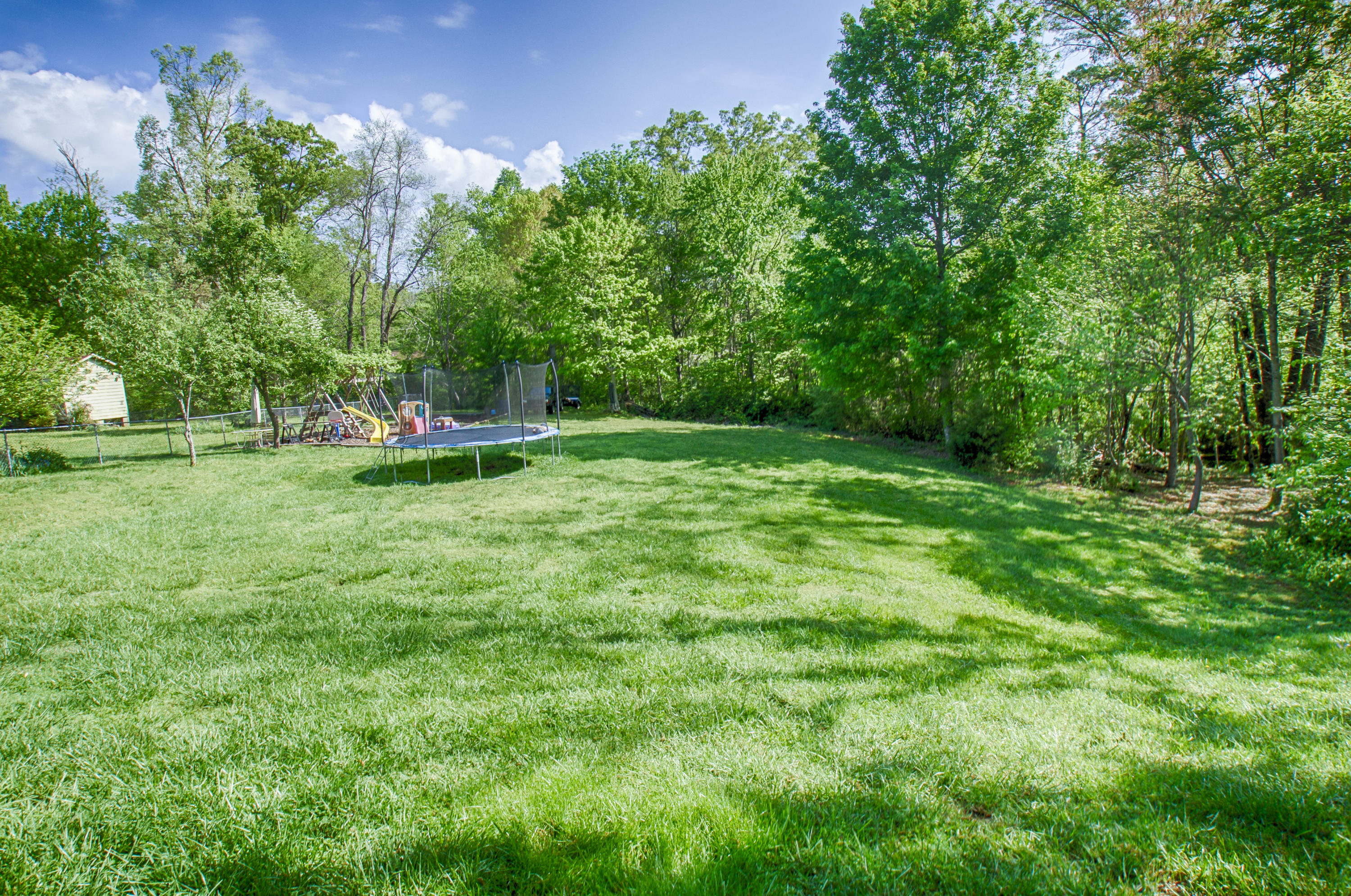 6228 Renee Road Corryton, TN 37721 - Photo 22 of 29 Backyard