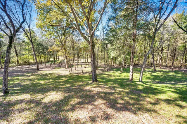 a view of yard with tree