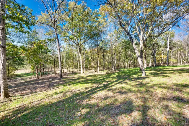a view of a backyard with green space
