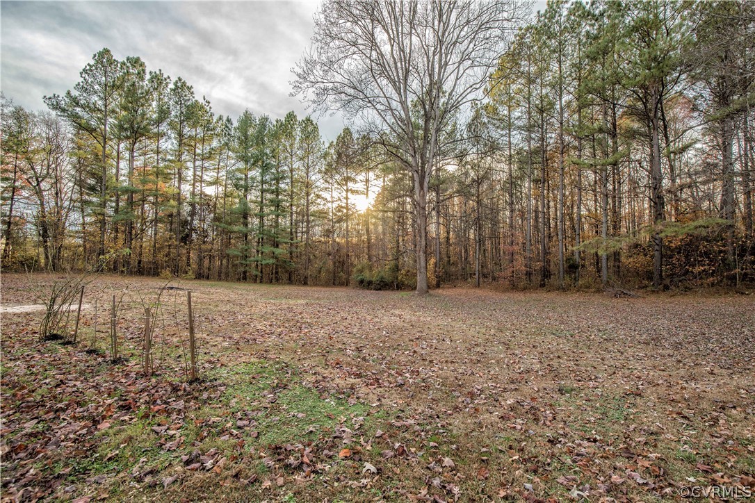 2255 Batterson Road Powhatan, VA 23139 - Photo 28 of 28 backyard with gorgeous nature views
