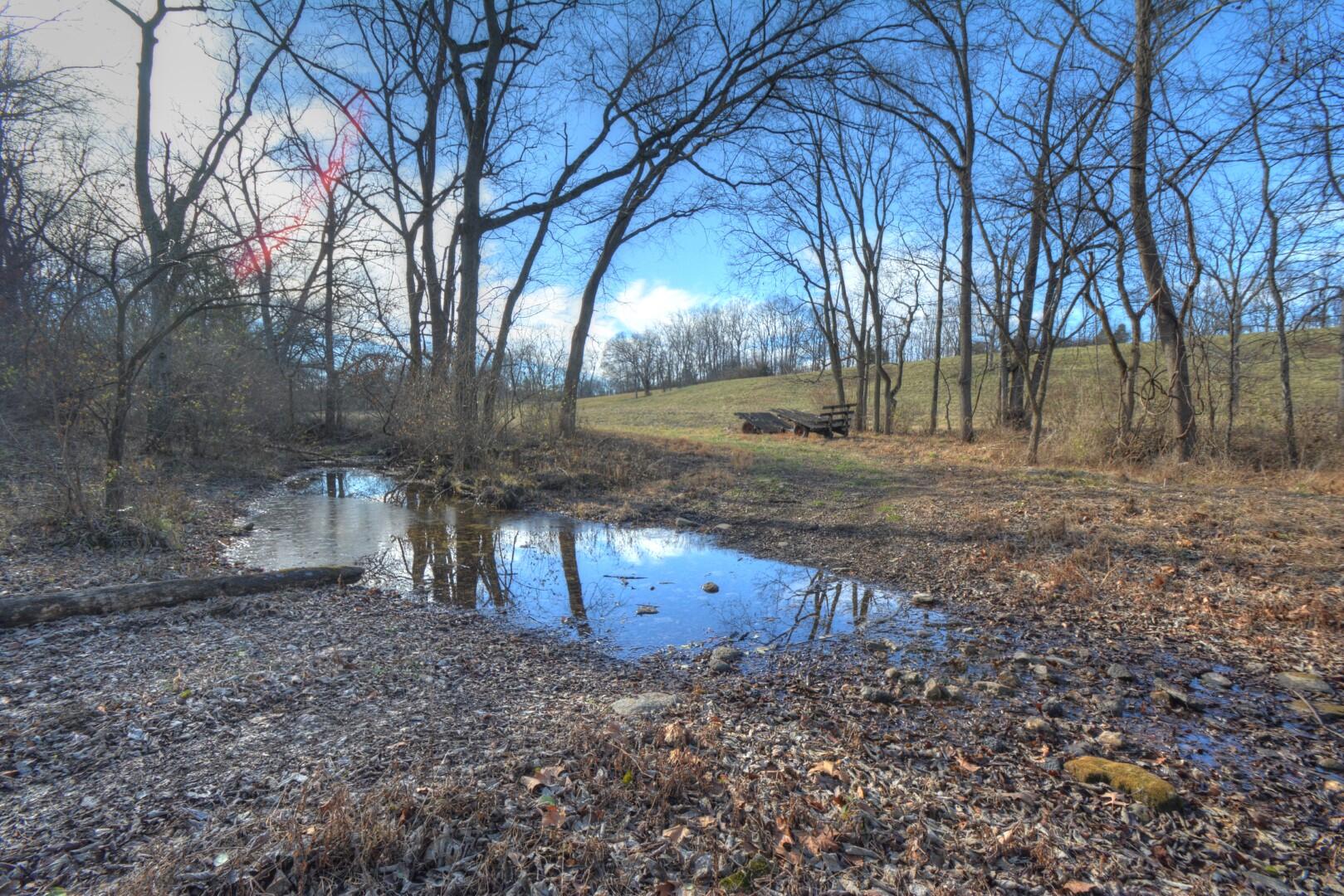 2926 Cummins Ferry Road Versailles, KY 40383 - Photo 27 of 42 Creek crossing