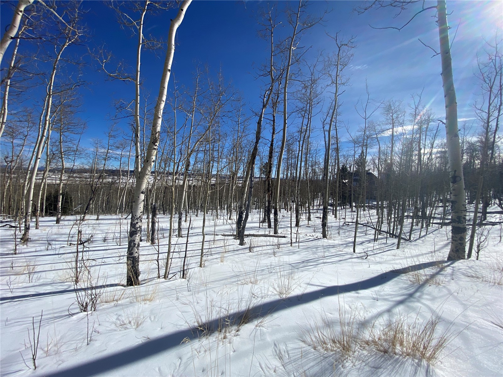 893 Lumberjack Road Fairplay, CO 80440 - Photo 18 of 34 Gallery Image 18