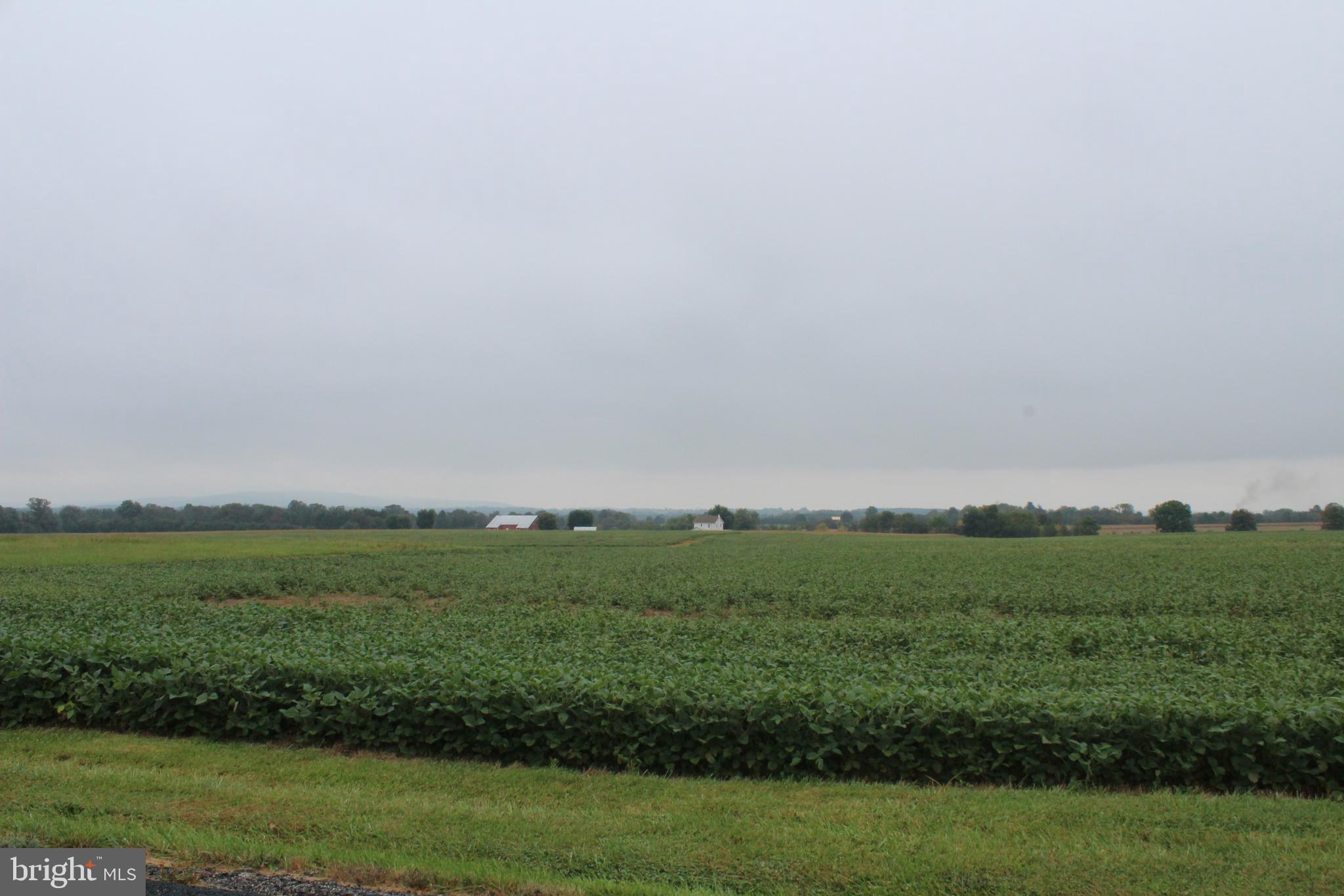 652 Cedar Ridge Road New Oxford, PA 17350 - Photo 6 of 17 a view of a field with an outdoor space