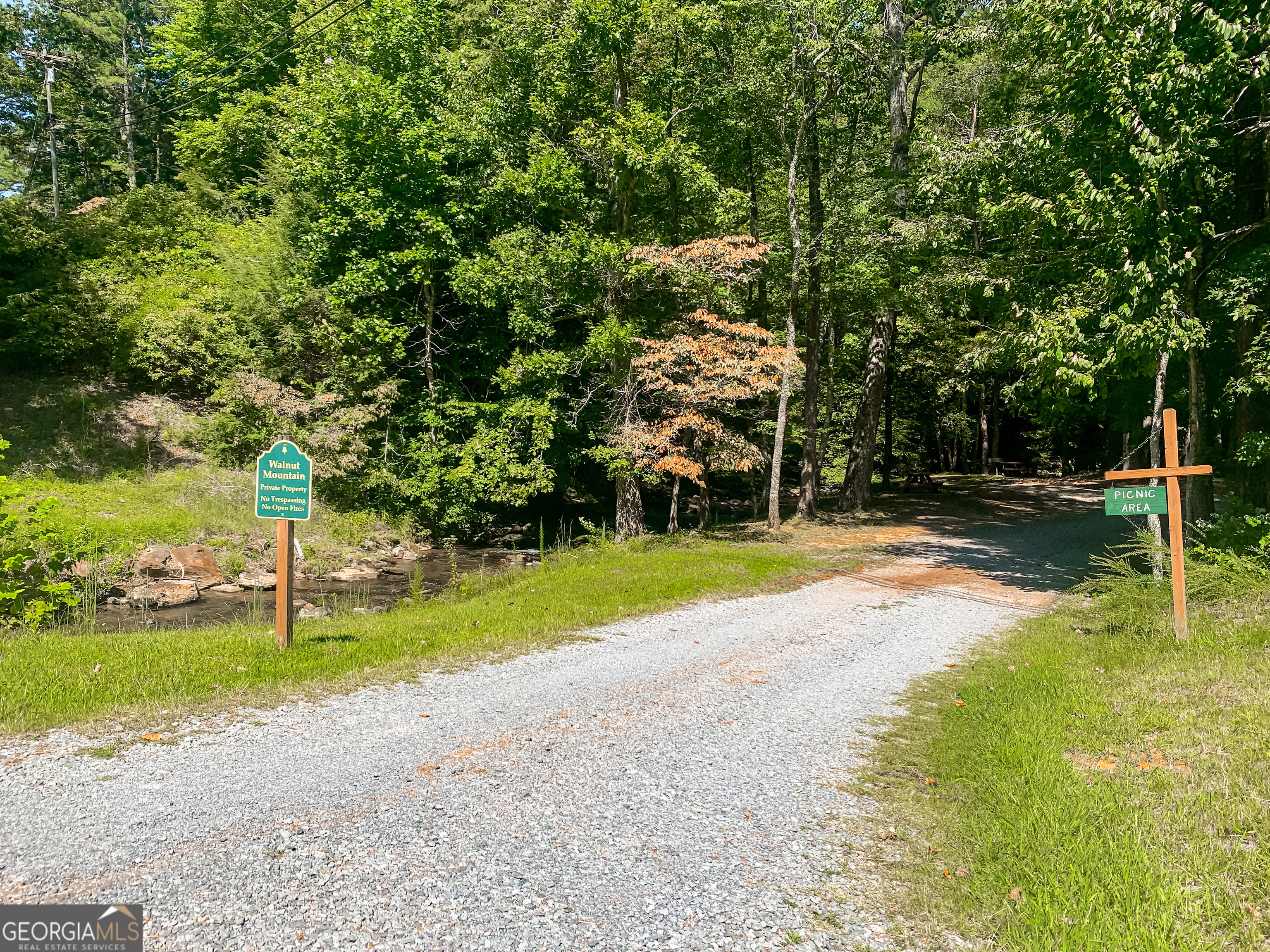 241 Walnut Mountain Road Ellijay, GA 30536 - Photo 54 of 56