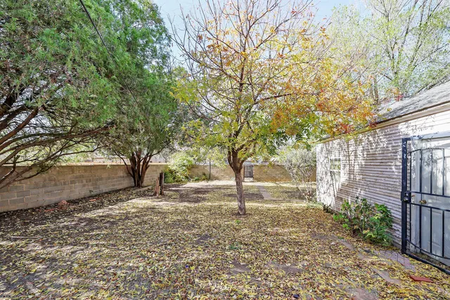 a view of a yard with plants and trees
