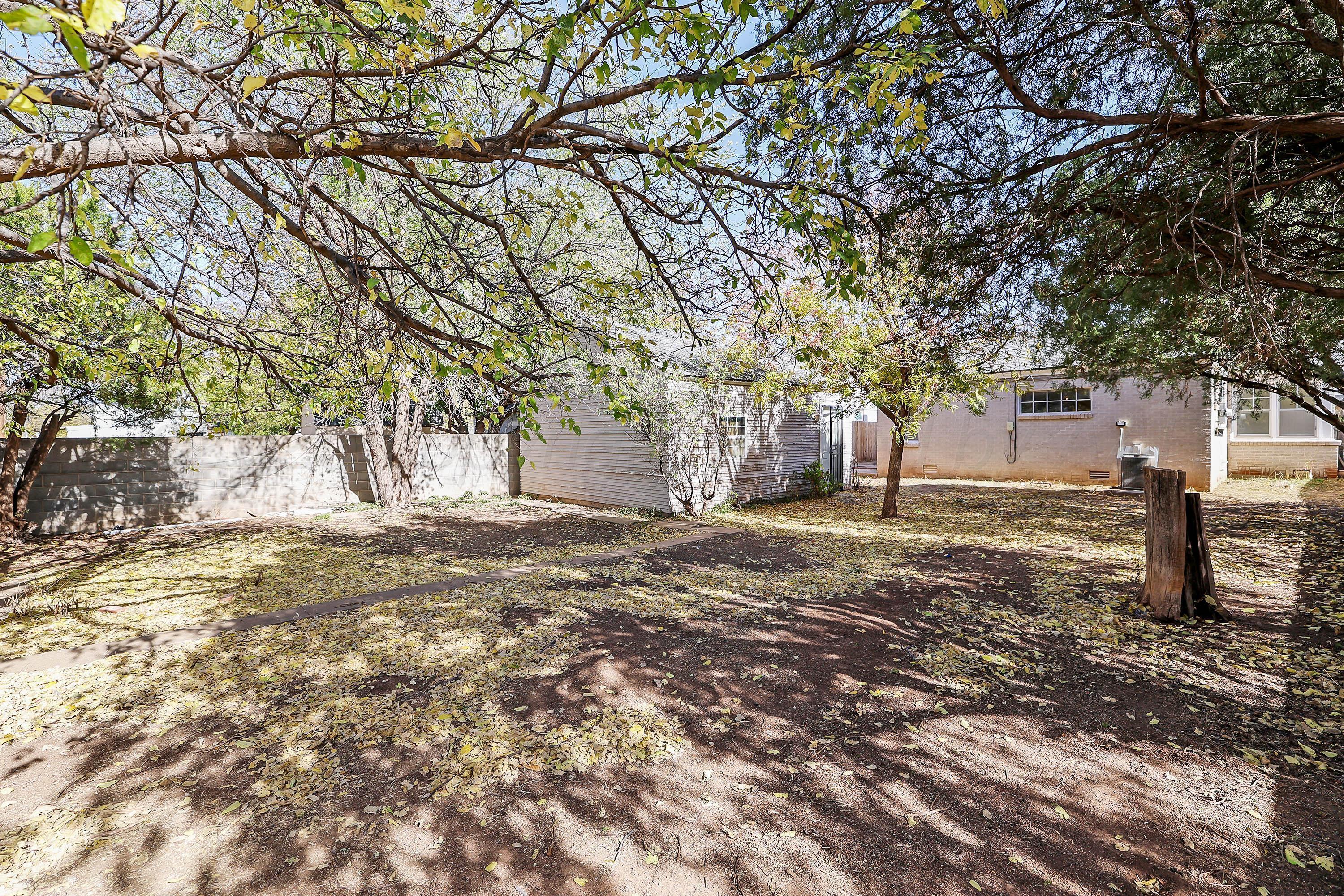 1528 South Lipscomb Street Amarillo, TX 79102 - Photo 5 of 24 a view of a tree in the middle of a yard