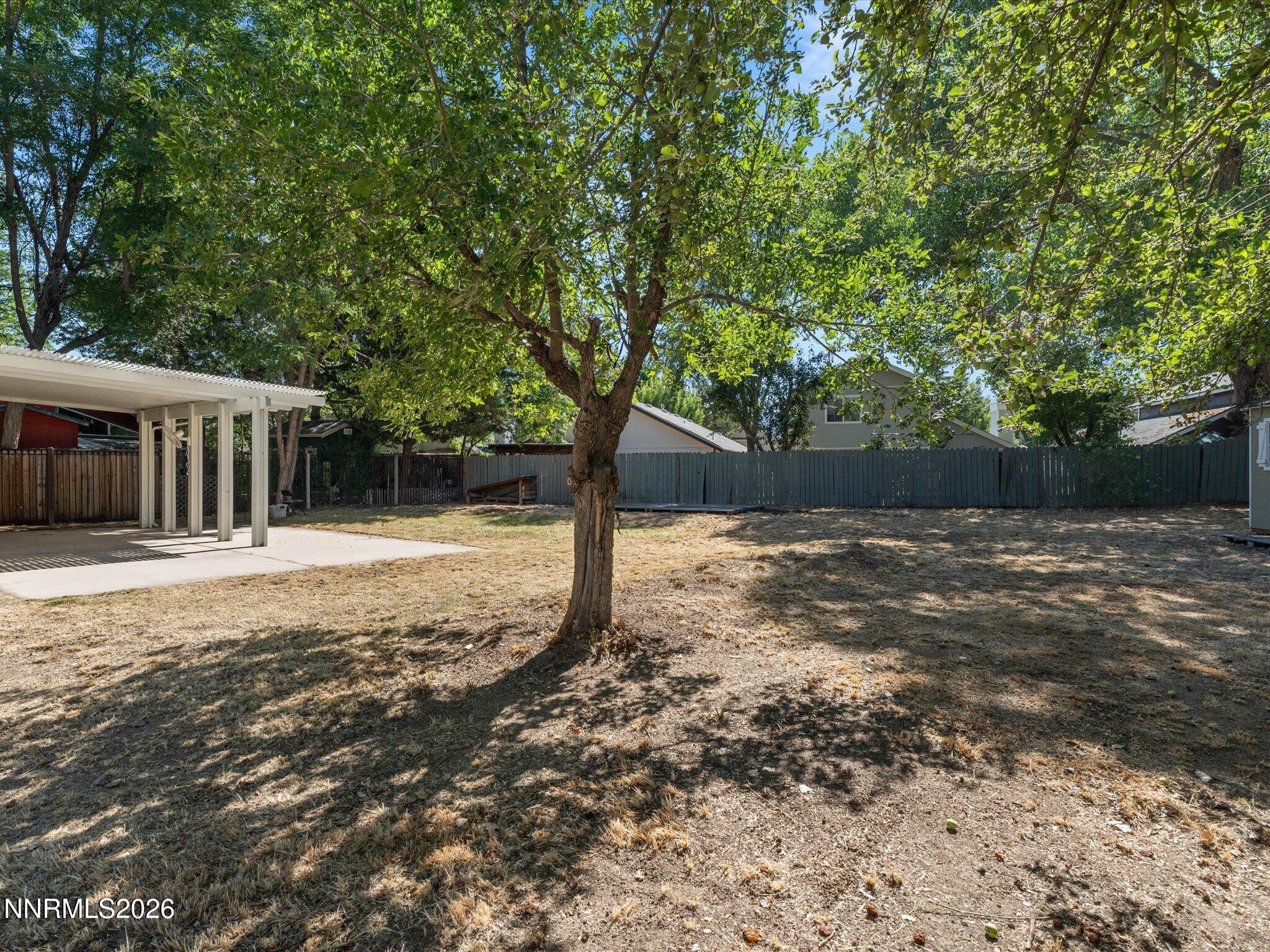 2714 Perro Court Reno, NV 89502 - Photo 28 of 31 Backyard