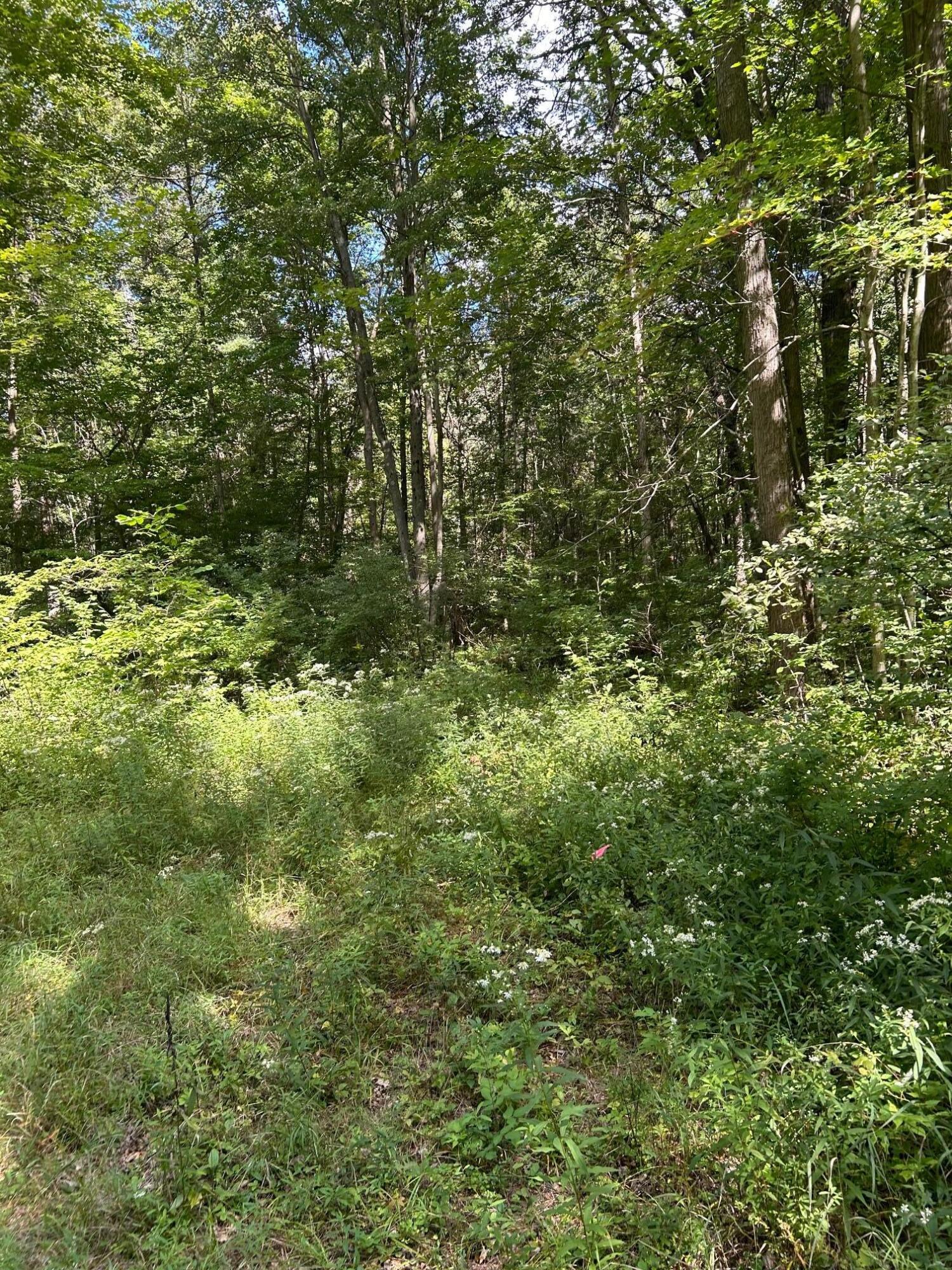 3250 West Isabella Road Shepherd, MI 48883 - Photo 2 of 8 IMG_1658