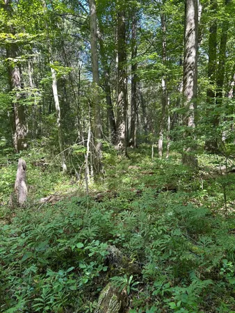 $99,900 | 3250 West Isabella Road, Shepherd, MI 48883