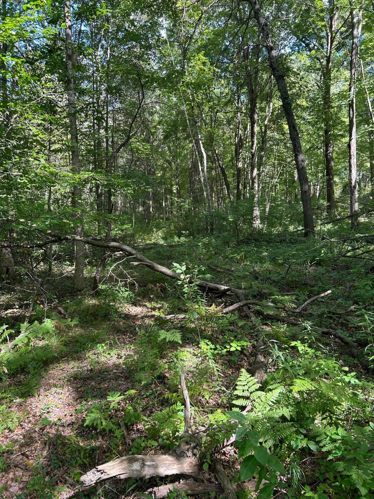 3250 West Isabella Road Shepherd, MI 48883 - Photo 4 of 8 IMG_1659