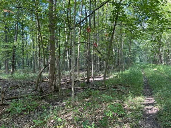 $99,900 | 3250 West Isabella Road, Shepherd, MI 48883