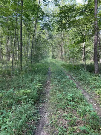 $99,900 | 3250 West Isabella Road, Shepherd, MI 48883