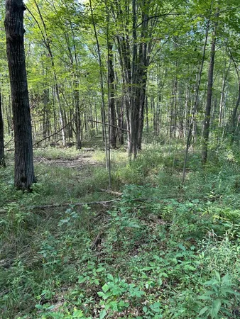 $99,900 | 3250 West Isabella Road, Shepherd, MI 48883