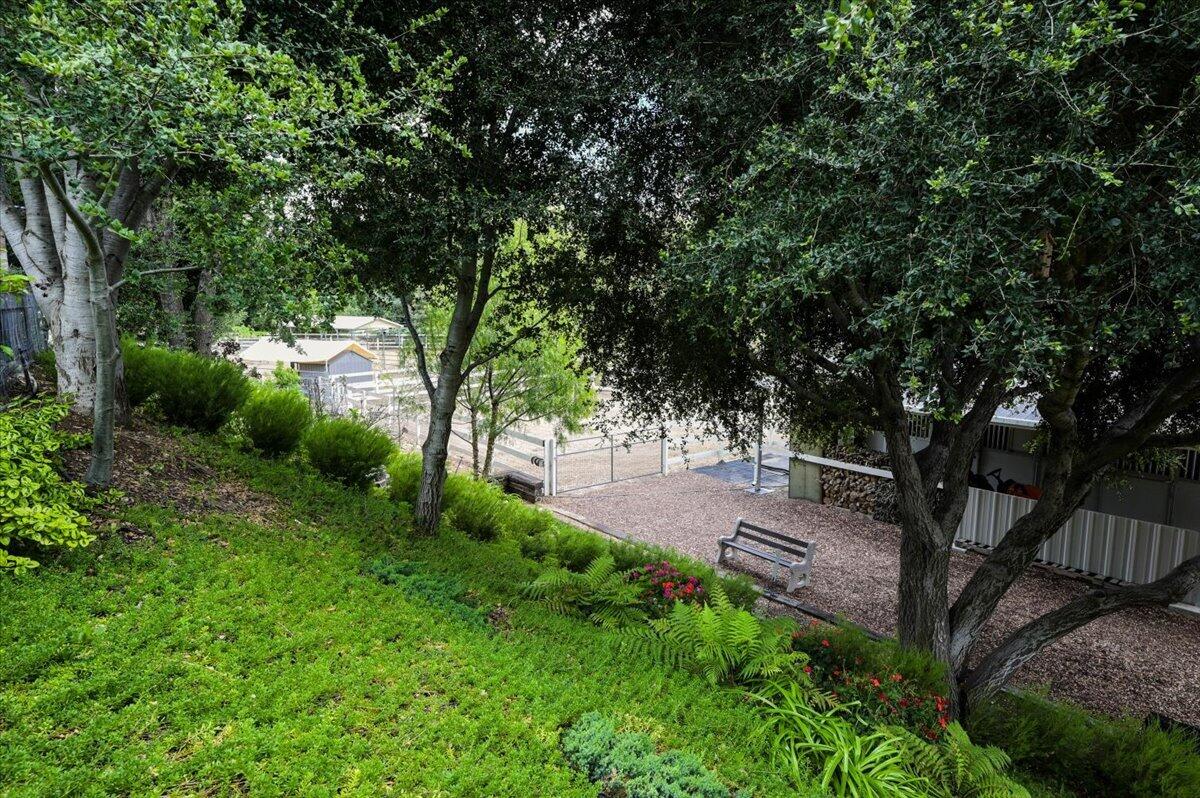 2550 Elk Grove Road Solvang, CA 93463 - Photo 64 of 74 a view of a backyard with large trees