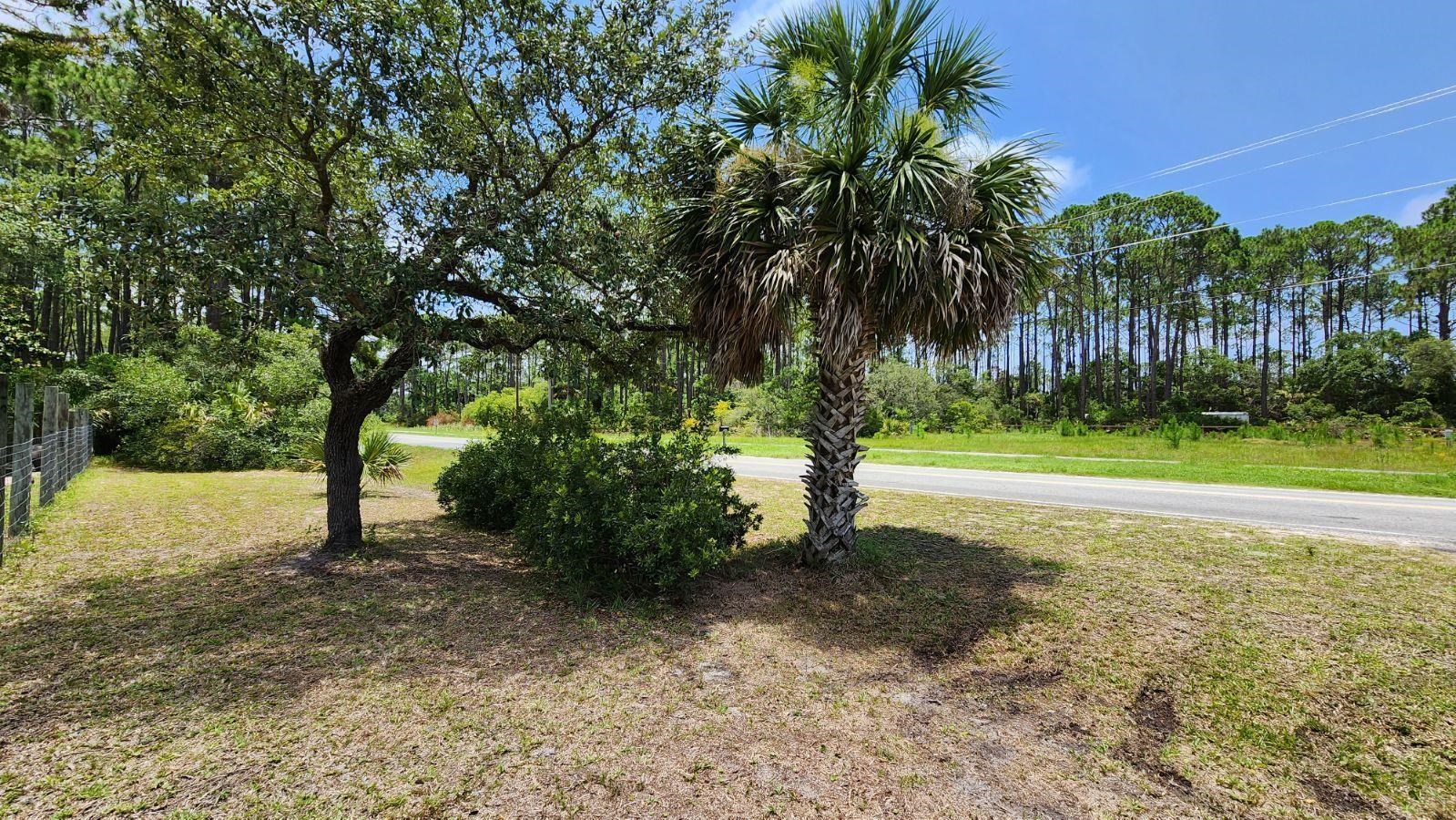 20244 Jody Morgan Road Perry, FL 32348 - Photo 9 of 14 Gallery Image 9