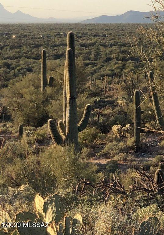 38615 South Carpenter Ranch Road Marana, AZ 85658 - Photo 3 of 5