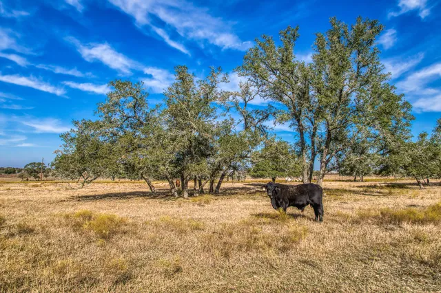 a view of outdoor space with deck and yard
