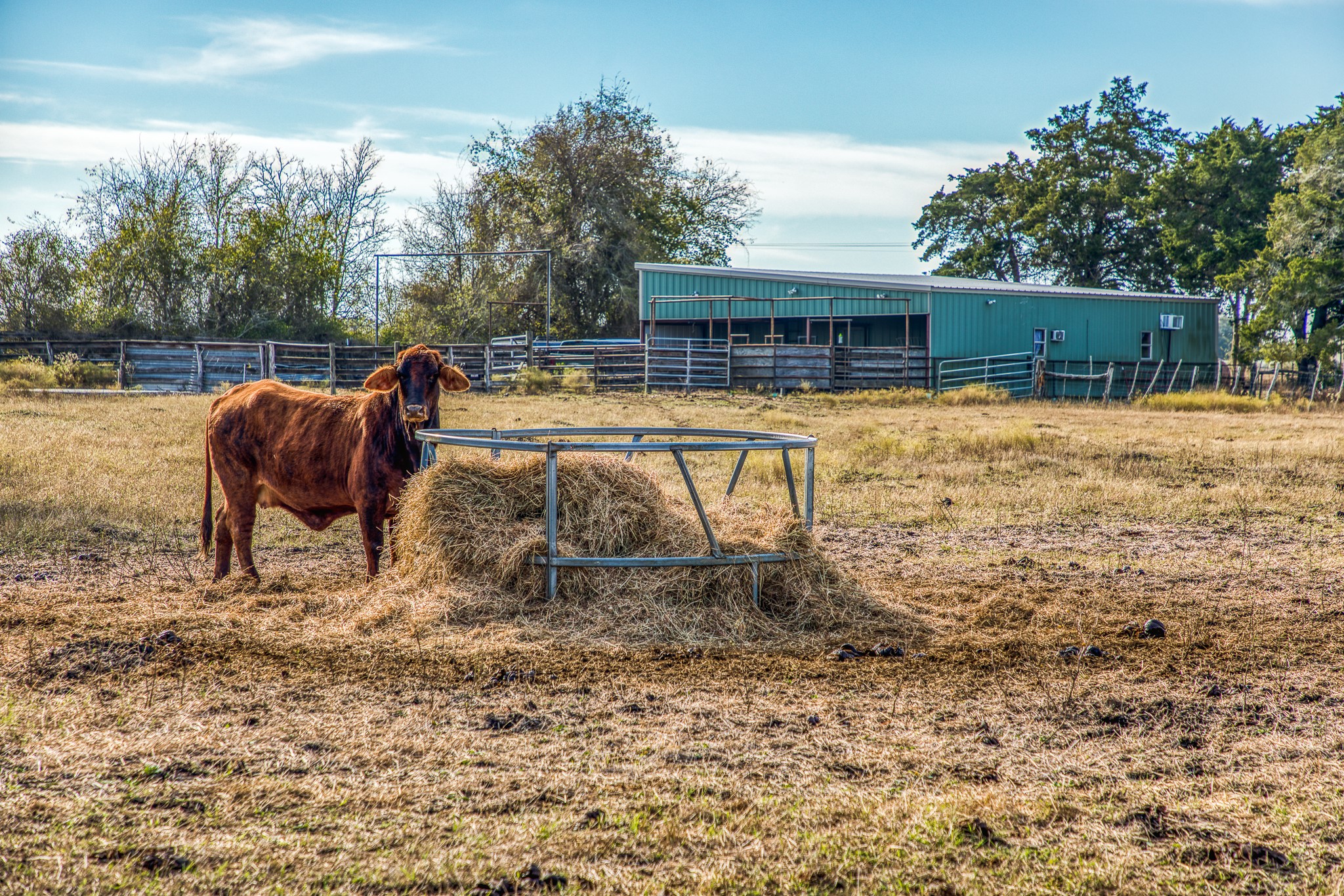 7300 Goehring Road Ledbetter, TX 78946 - Photo 18 of 21 a view of backyard with swimming pool and seating space
