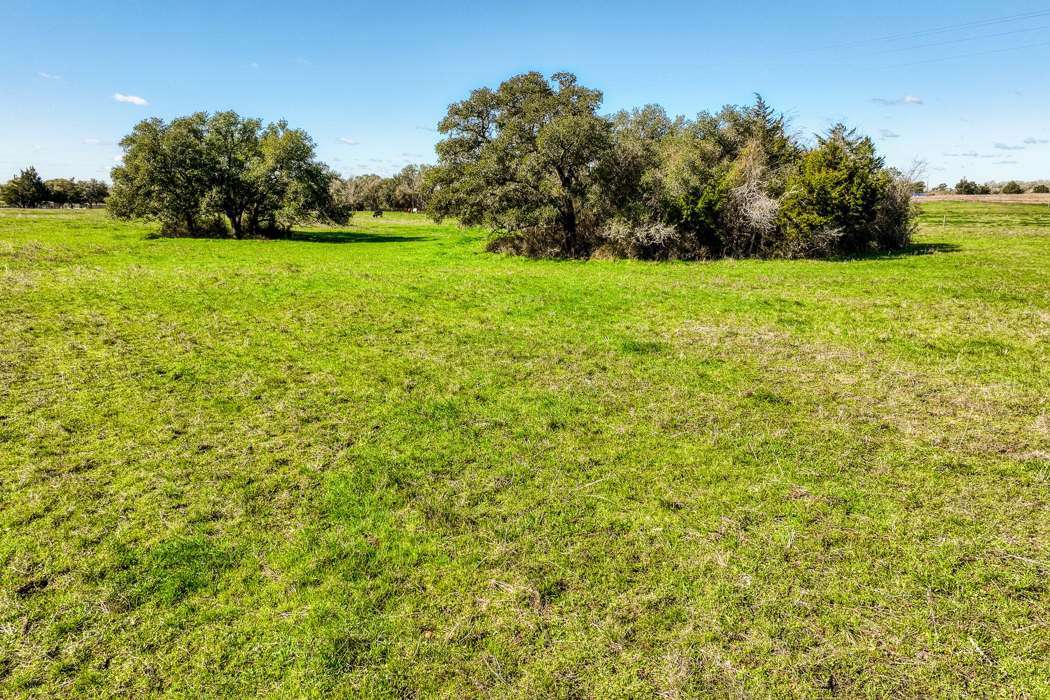 7300 Goehring Road Ledbetter, TX 78946 - Photo 20 of 21 a view of a field with an trees in the background