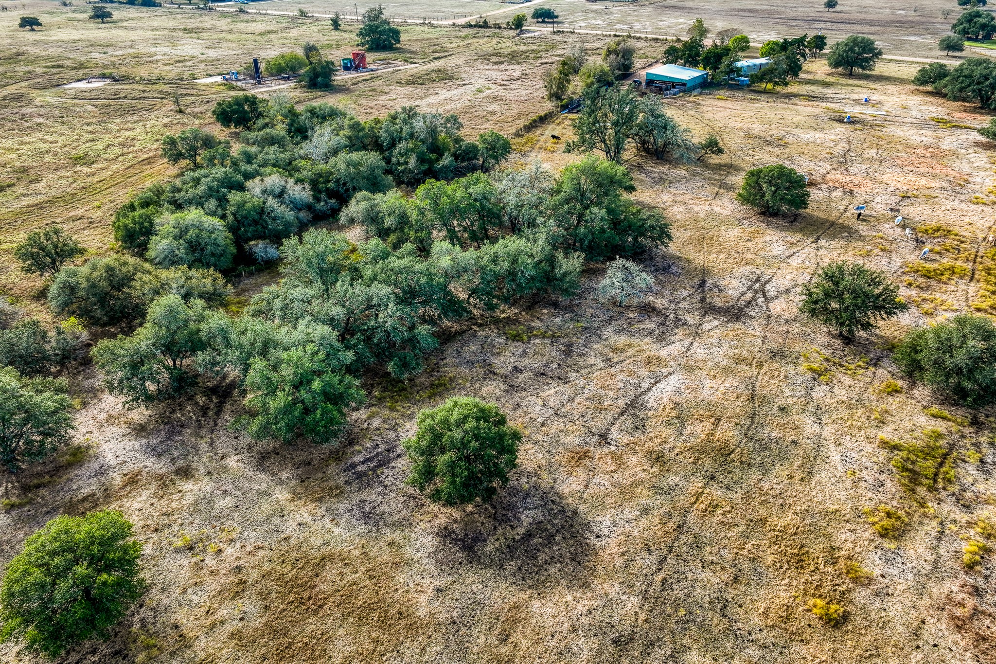 7300 Goehring Road Ledbetter, TX 78946 - Photo 3 of 21 a view of a road with a yard