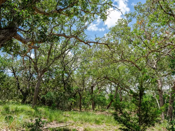 $138,051 | 1632 Link, Unit 13, Doss, TX 78618