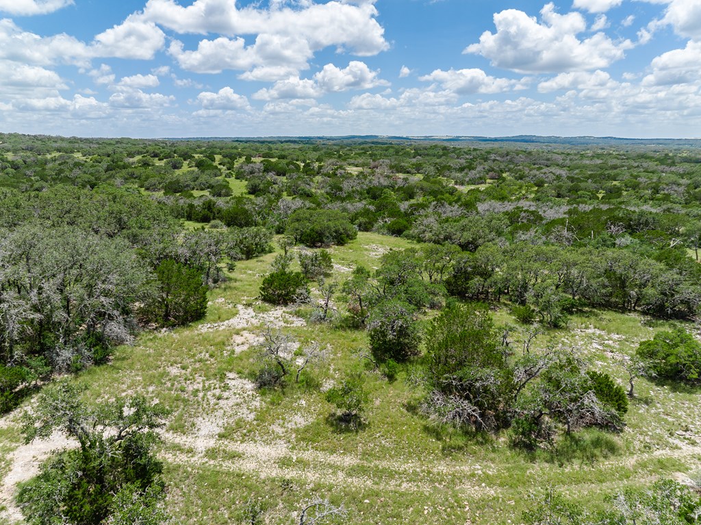 1632 Link, Unit 13 Doss, TX 78618 - Photo 19 of 24 a view of a bunch of trees