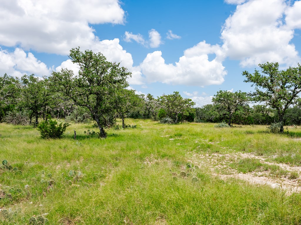 1632 Link, Unit 13 Doss, TX 78618 - Photo 9 of 24 a view of yard with green space