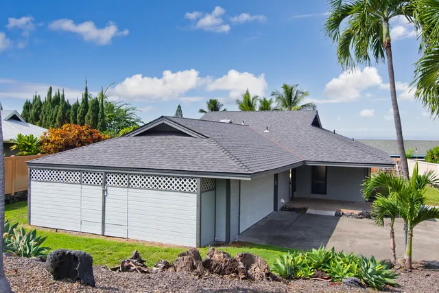 a aerial view of a house with a yard and potted plants