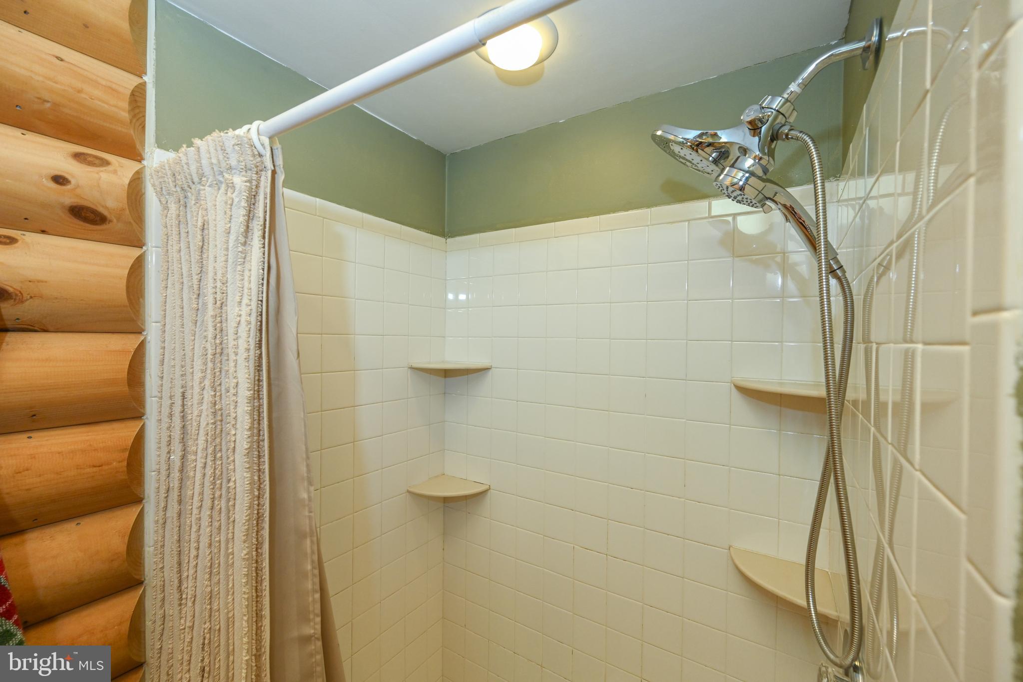 460 Bench Road Swanton, MD 21561 - Photo 34 of 110 Primary bath shower.
