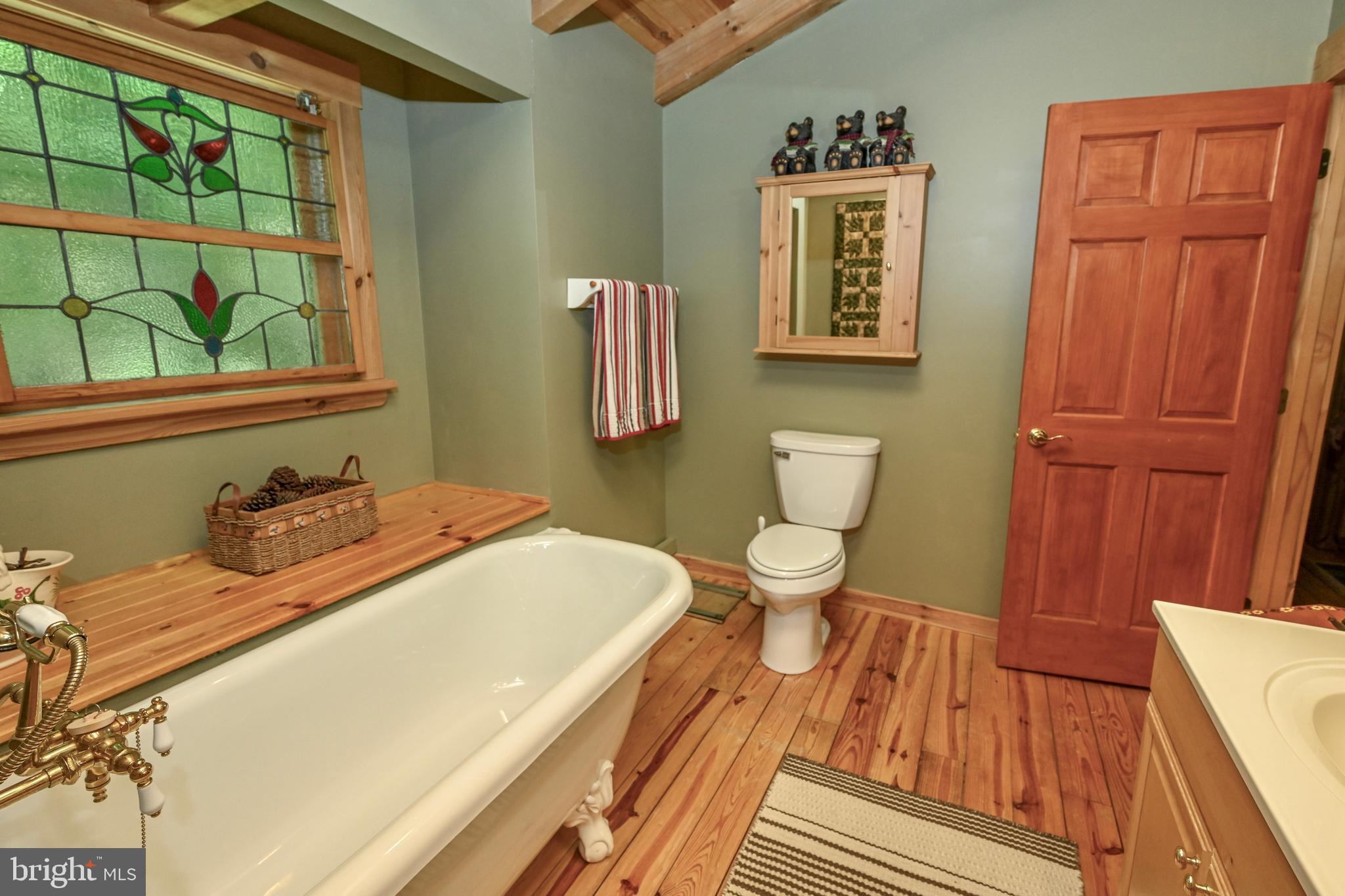 460 Bench Road Swanton, MD 21561 - Photo 35 of 110 Soaking tub in the private suite.