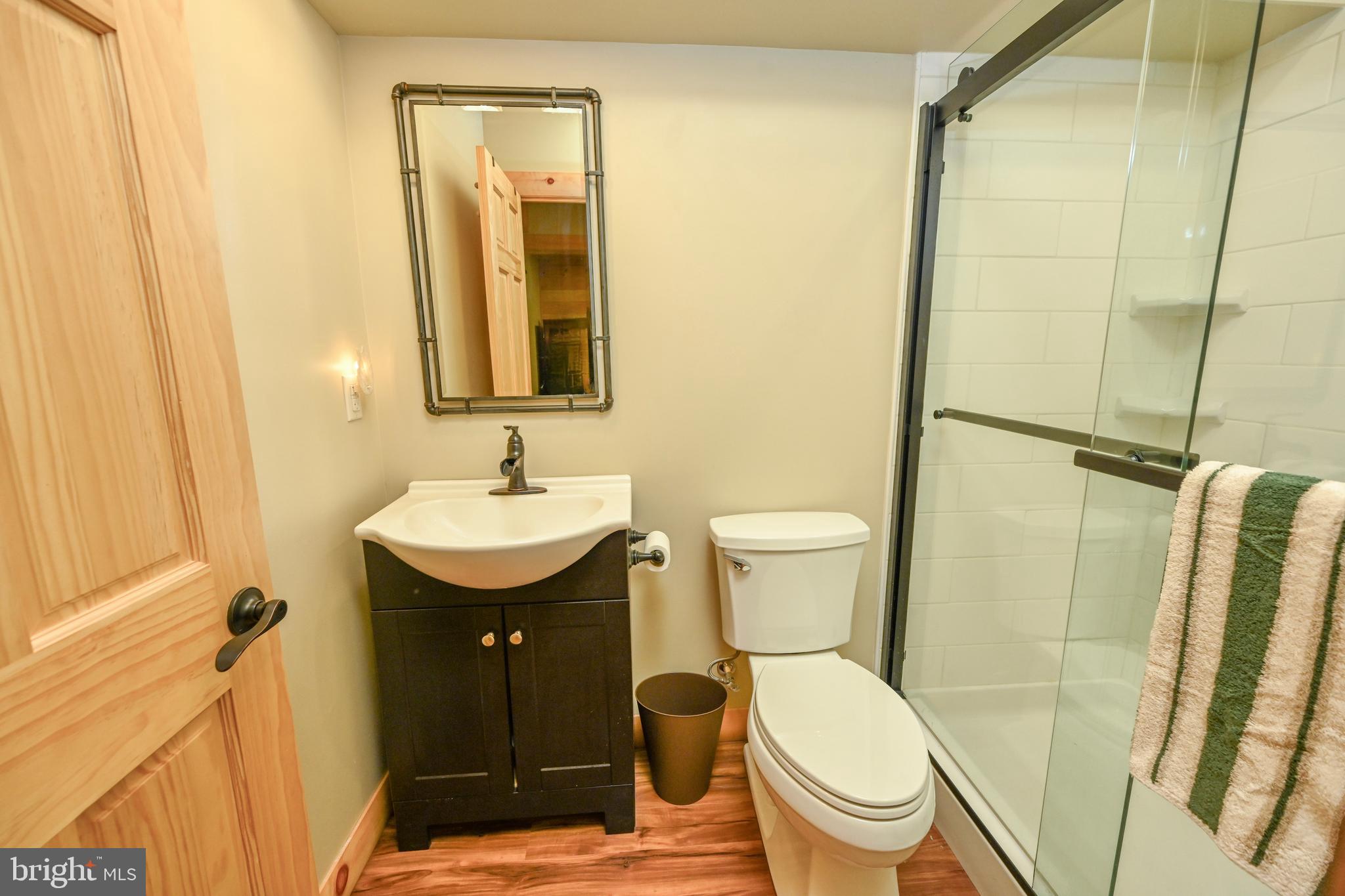 460 Bench Road Swanton, MD 21561 - Photo 46 of 110 Lower level bath with a wonderful spacious shower.