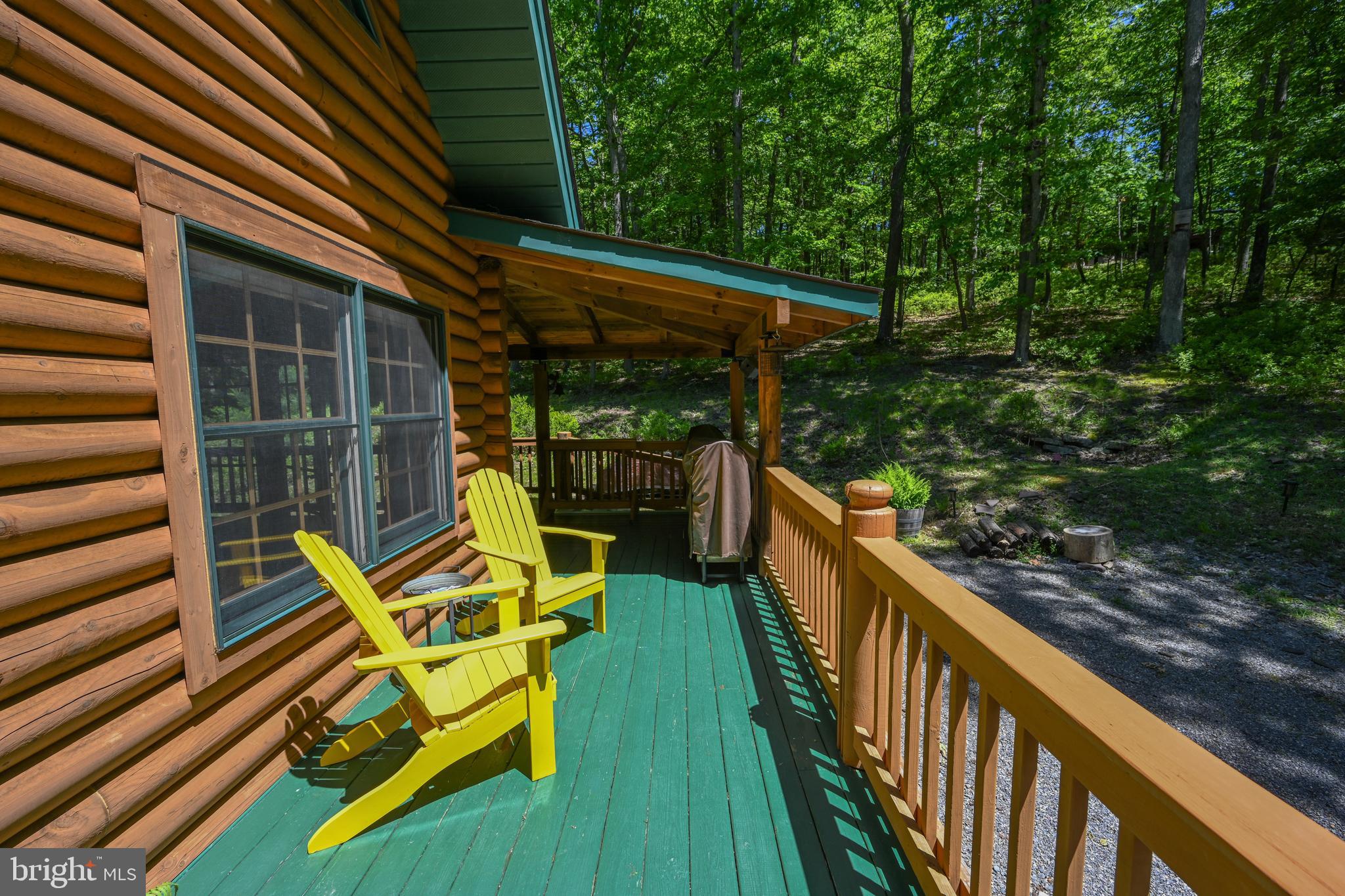 460 Bench Road Swanton, MD 21561 - Photo 50 of 110 Take in the sun.
