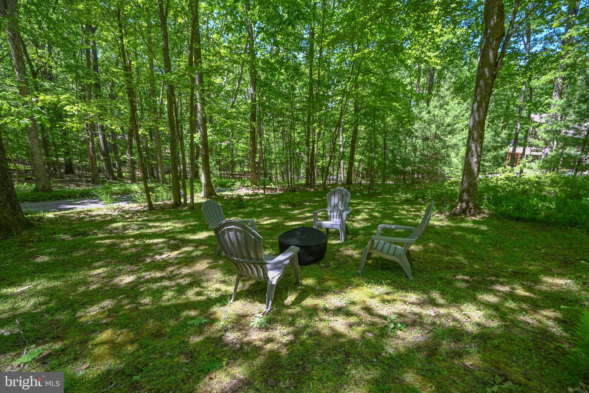 460 Bench Road Swanton, MD 21561 - Photo 61 of 110 Fire pit area for stories smores.