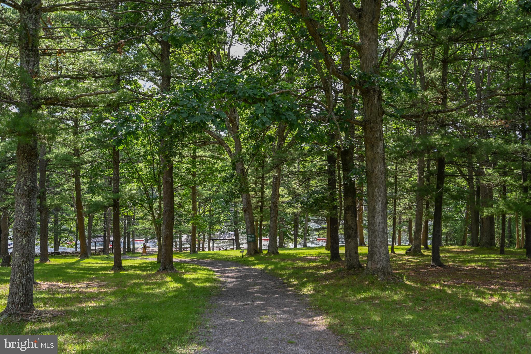460 Bench Road Swanton, MD 21561 - Photo 64 of 110 The large lakefront swimming area.