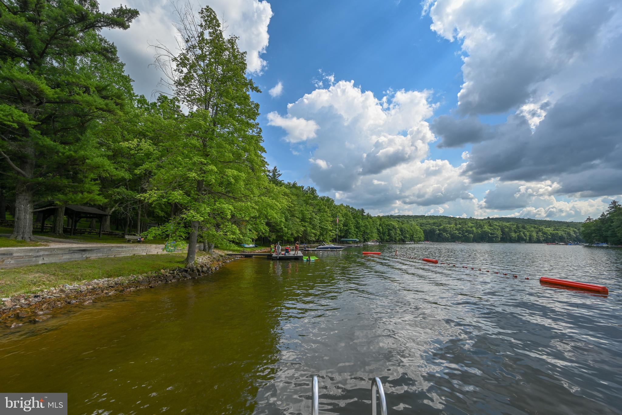 460 Bench Road Swanton, MD 21561 - Photo 69 of 110 3000' of "State Park like," common Lakefront.