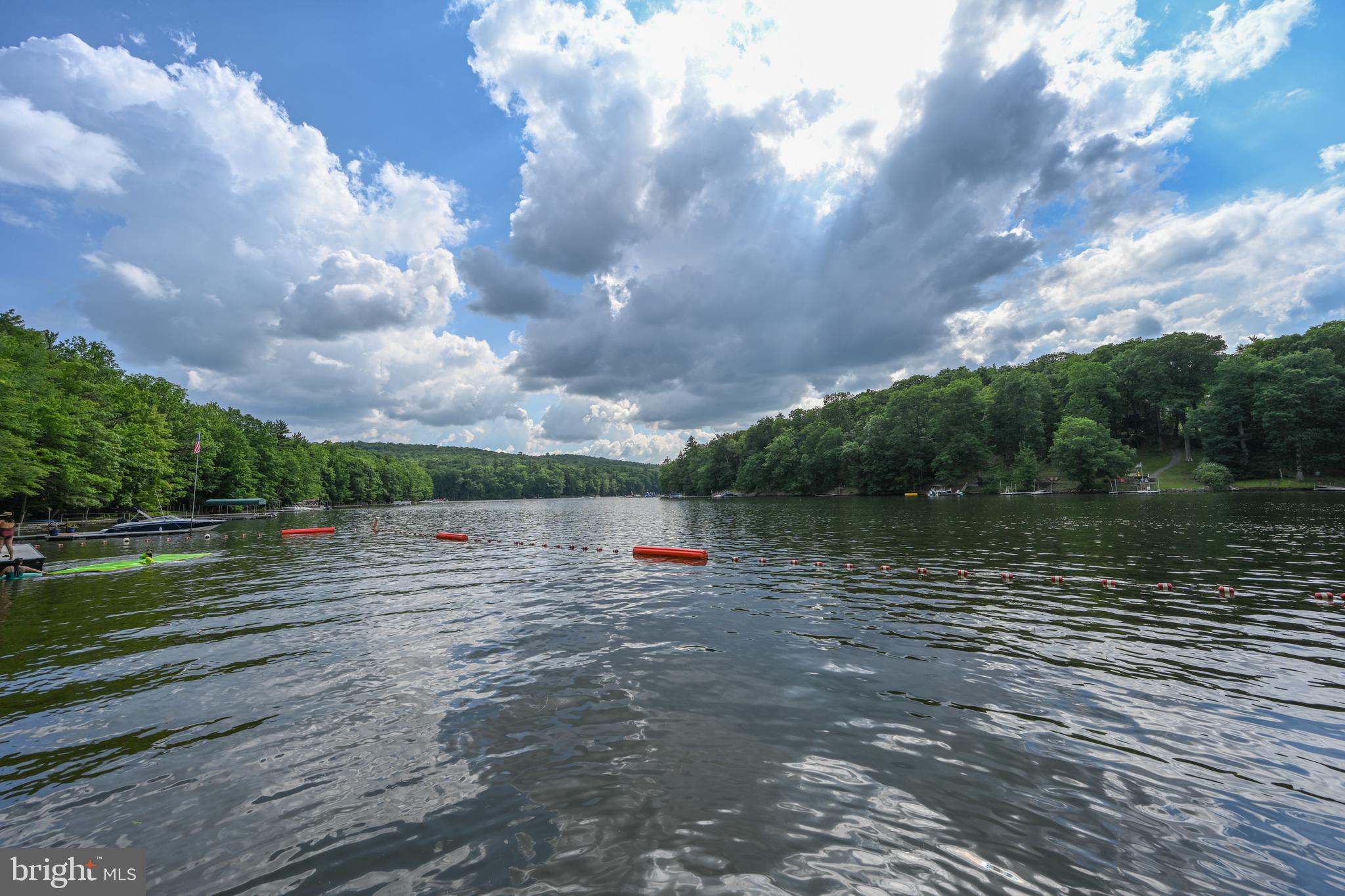 460 Bench Road Swanton, MD 21561 - Photo 72 of 110 Roped off swimming.