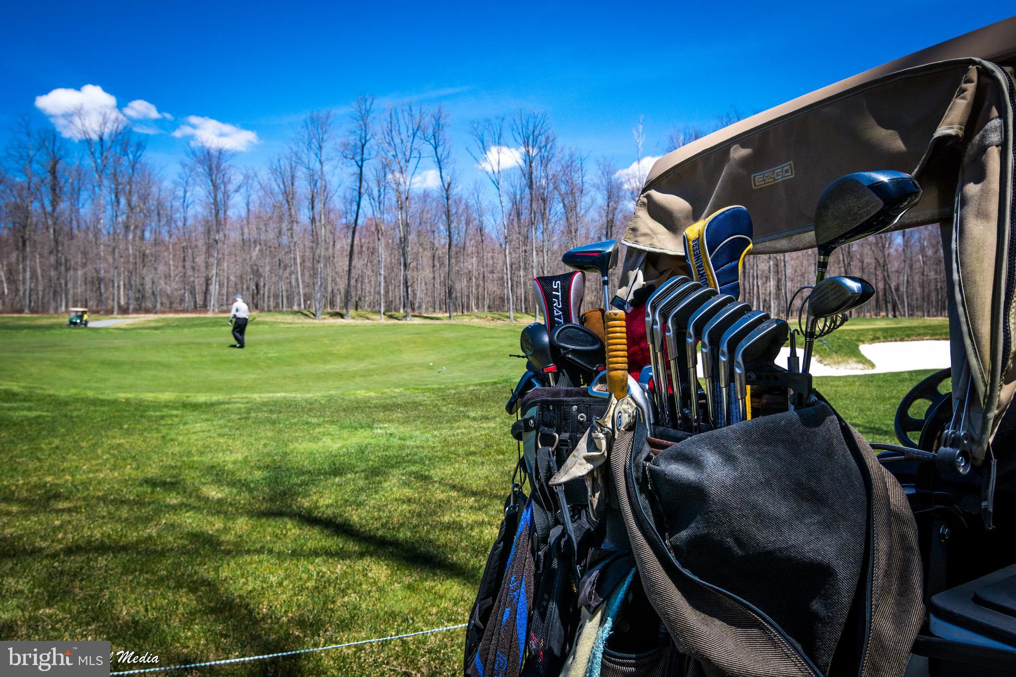 460 Bench Road Swanton, MD 21561 - Photo 93 of 110 One of 4 golf courses in the area.