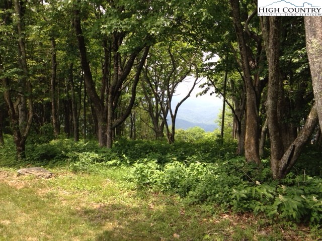 Lot 8 Crown Point Road West Jefferson, NC 28694 - Photo 1 of 19 Gallery Image 1